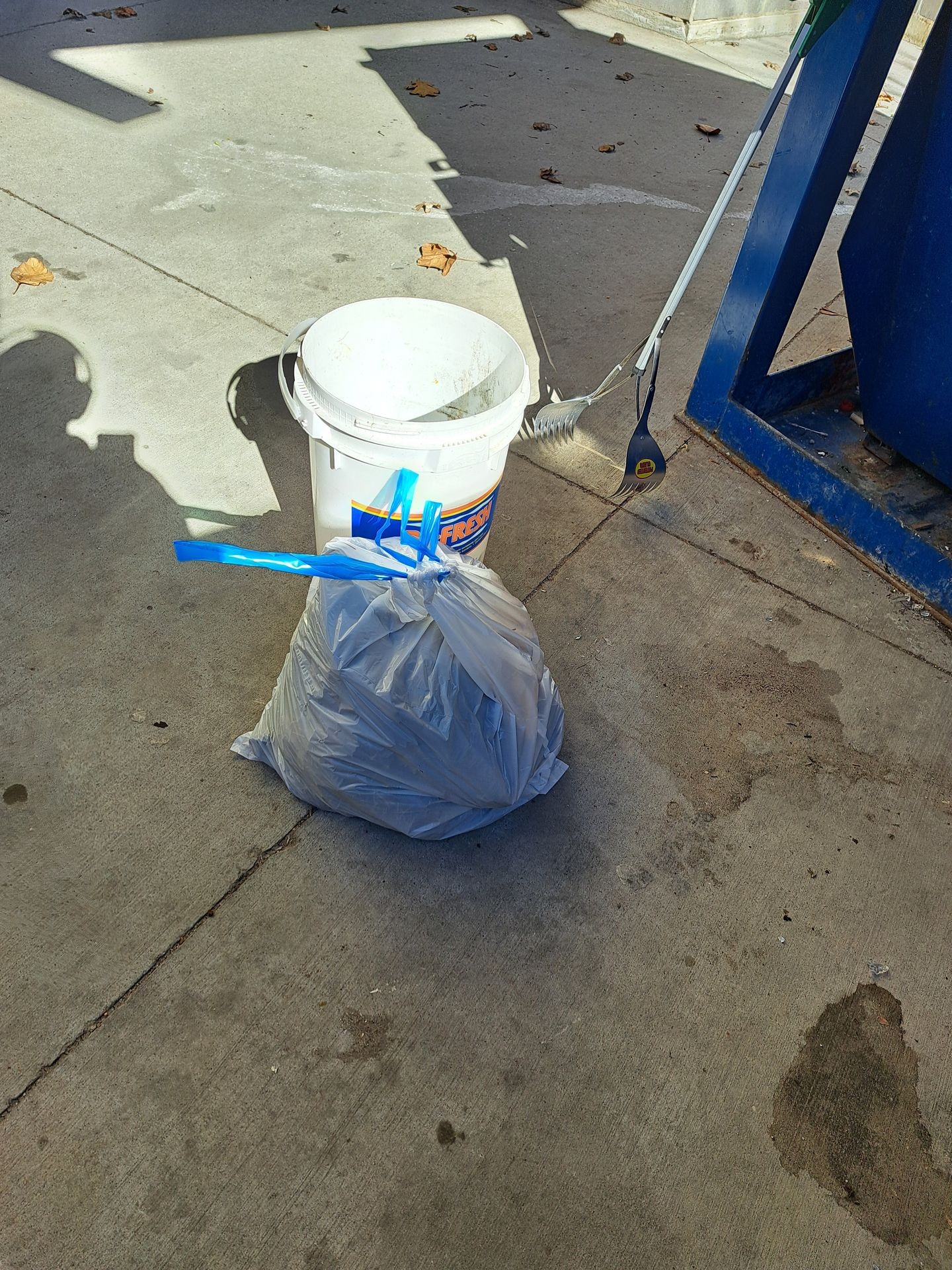 Pet Waste Removal
